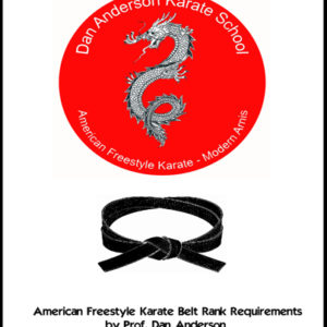 American Freestyle Karate White to Black Belt Curriculum Digital Video Set